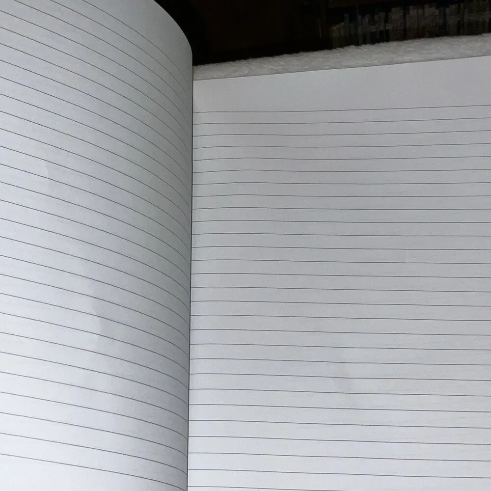Left-handed Composition Notebook New Made In The U.S.A 2022 VERY CUTE KOALA BEAR